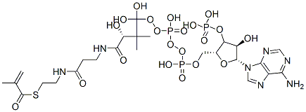CAS 登录号：6008-91-9， [(2R,3R,4R,5R)-5-(6-氨基嘌呤-9-基)-4-羟基-2-[[羟基-[羟基-[3-羟基-2,2-二甲基-3-[2-[2-(2-甲基丙-2-烯酰巯基)乙基氨基甲酰]乙基氨基甲酰]丙氧基]磷酰]氧基-磷酰]氧基甲基]四氢呋喃-3-基]氧基膦酸
