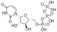 CAS#: 60102-52-5, Arabinofuranosyluridine triphosphate