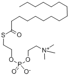 CAS 登录号：60793-01-3， 2-棕榈酰硫代-1-乙基磷酰胆碱
