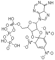 CAS 登录号:61368-63-6, 2',3'-O-(2,4,6-三硝基-环己二烯亚基)腺苷 5'-三磷酸酯