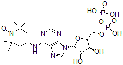 CAS 登录号：61468-67-5， 6-(2,2,6,6,-四甲基哌啶-1-氧基)-二磷酸腺苷