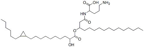 CAS 登录号：61574-56-9， 5-氨基-2-[3-[10-(2-己基环丙基)-2-羟基-癸酰]氧基棕榈酰氨基]戊酸