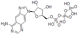 CAS 登录号：61925-58-4， 苯并腺苷三磷酸酯