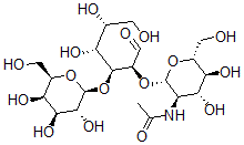 CAS#: 62398-02-1, Galactopyranosyl-1-4-N-Acetylglucosaminyl-1-2-Mannopyranose