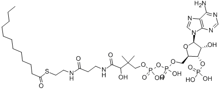 CAS 登录号：6244-92-4， 辅酶 A-S-月桂酸酯