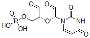 CAS 登录号：63436-29-3， 尿苷单磷酸酯二醛