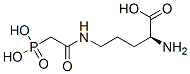 CAS 登录号：63446-55-9， N(delta)-(膦酰乙酰基)-L-鸟氨酸
