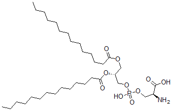 CAS#: 64023-32-1, Dimyristoyl-L-alpha-Phosphatidyl-L-Serine