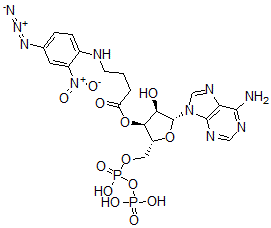 CAS#: 64655-48-7, 3'-O-(4(N-(4-Azido-2-nitrophenyl)amino)butyryl)adenosine 5'-diphosphate