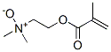 CAS 登录号：65605-52-9， [2-(甲基丙烯酰氧基)乙基]二甲基铵 N-氧化物