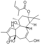 CAS 登录号：65700-60-9， 12-脱氧佛波醇-13-当归酸酯