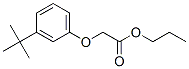 CAS 登录号：66227-09-6， [3-(1,1-二甲基乙基)苯氧基]乙酸丙酯