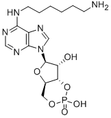 CAS 登录号：66311-09-9， N(6)-(氨基己基)-腺苷-3',5'-单磷酸酯
