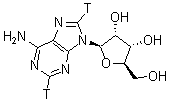 CAS 登录号:66592-84-5, 腺苷-2,8-T2