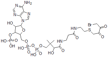 CAS 登录号：66686-64-4， 4-溴-2,3-二氧代丁基-辅酶 A