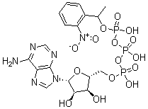 CAS#: 67030-27-7, Adenosine5'-(Tetrahydrogen Triphosphate) P''-[1-(2-Nitrophenyl)Ethyl] Ester