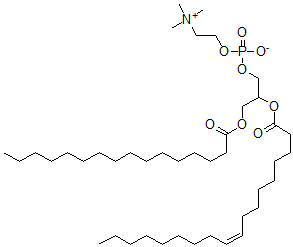 CAS 登录号：6753-55-5， 1-棕榈酰-2-油酰基磷脂酰胆碱