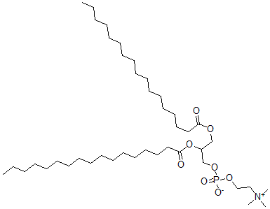 CAS 登录号：67896-64-4， 1,2-十七碳酰磷脂酰胆碱