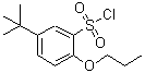 CAS 登录号：681260-21-9， 5-(2-甲基-2-丙基)-2-丙氧基苯磺酰氯