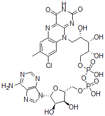 CAS 登录号：68385-36-4， 8-氯-黄素腺嘌呤二核苷酸