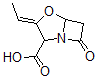 CAS#: 69779-62-0, 9-Deoxyclavulanic Acid