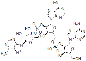 CAS 登录号:70062-83-8, 腺苷酰-(2'-5')-腺苷酰-(2'-5')腺苷