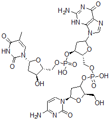 CAS 登录号：71002-61-4， 脱氧(胞苷酰-鸟苷酰-胸苷酸)