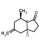 CAS 登录号：727985-41-3， (5R,8aS)-5-甲基-7-亚甲基六氢-3(2H)-吲哚嗪酮