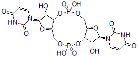CAS 登录号：73120-97-5， 环二((3'-5')尿甙酸)