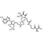 CAS 登录号：73173-92-9， 辅酶A,S-[(R)-氢甲基丙二酸酯]