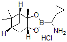 CAS#: 732285-43-7, (alphaR,3aS,4S,6S,7aR)-alpha-cyclopropylhexahydro-3a,5,5-trimethyl-4,6-Methano-1,3,2-benzodioxaborole-2-methanamine hydrochloride (1:1)