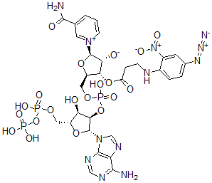 CAS 登录号：73617-93-3， (2R,3R,4S,5R)-5-[[[(2R,3R,4R,5R)-2-(6-氨基嘌呤-9-基)-4-羟基-5-[(羟基-膦酰氧基磷酰)氧基甲基]四氢呋喃-3-基]氧基-羟基磷酰]氧基甲基]-4-[3-[(4-叠氮基-2-硝基苯基)氨基]丙酰氧基]-2-(3-氨基甲酰吡啶-1-鎓-1-基)四氢呋喃-3-醇