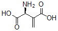 CAS#: 73650-42-7, (2S)-2-Amino-3-Methylidenebutanedioic Acid