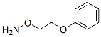 CAS 登录号：73941-29-4， O-[2-(苯氧基)乙基]羟胺