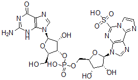 CAS#: 73962-12-6, 3-[(2R,3R,4S,5R)-5-[[[(2R,3S,4R,5R)-5-(2-Amino-6-Oxo-3H-Purin-9-Yl)-4-Hydroxy-2-(Hydroxymethyl)Oxolan-3-Yl]Oxy-Hydroxyphosphoryl]Oxymethyl]-3,4-Dihydroxyoxolan-2-Yl]Imidazo[2,1-f]Purine-5-Sulfonic Acid