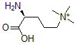 CAS 登录号：73970-11-3， [(4S)-4-氨基-5-羟基-5-氧代戊基]-三甲基铵