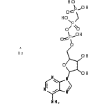 CAS 登录号：7414-56-4， beta,gamma-亚甲基腺苷5'-三磷酸酯二钠盐