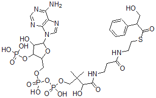 CAS#: 74717-87-6, S-[2-[3-[[4-[[[5-(6-Aminopurin-9-Yl)-4-Hydroxy-3-Phosphonooxyoxolan-2-Yl]Methoxy-Hydroxyphosphoryl]Oxy-Hydroxyphosphoryl]Oxy-2-Hydroxy-3,3-Dimethylbutanoyl]Amino]Propanoylamino]Ethyl] 3-Hydroxy-2-Phenylpropanethioate