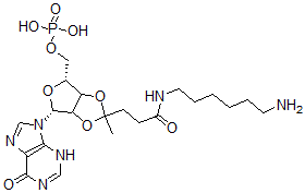 CAS#: 75204-35-2, [(4R,6R)-2-[3-(6-Aminohexylamino)-3-Oxopropyl]-2-Methyl-6-(6-Oxo-3H-Purin-9-Yl)-3a,4,6,6a-Tetrahydrofuro[4,3-d][1,3]Dioxol-4-Yl]Methyl Dihydrogen Phosphate