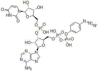 CAS#: 76444-18-3, [(2R,3S,4R,5R)-5-(6-Aminopurin-9-Yl)-2-[[[(4-Azidophenoxy)-Hydroxyphosphoryl]Oxy-Hydroxyphosphoryl]Oxymethyl]-4-Hydroxyoxolan-3-Yl] [(2R,3S,4R,5R)-5-(2,4-Dioxopyrimidin-1-Yl)-3,4-Dihydroxyoxolan-2-Yl]Methyl Hydrogen Phosphate