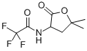 CAS 登录号:77694-20-3, N-(5,5-二甲基-2-氧代四氢呋喃-3-基)-2,2,2-三氟乙酰胺