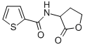 CAS 登录号：77694-38-3， N-(2-氧代四氢呋喃-3-基)噻吩-2-甲酰胺