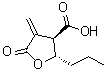 CAS 登录号：778649-18-6， (2S,3R)-4-亚甲基-5-氧代-2-丙基四氢-3-呋喃羧酸