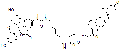 CAS#: 78249-64-6, [2-[(8S,9S,10R,13S,14S,17S)-10,13-Dimethyl-3-Oxo-1,2,6,7,8,9,11,12,14,15,16,17-Dodecahydrocyclopenta[a]Phenanthren-17-Yl]-2-Oxoethyl] 4-[6-[(3',6'-Dihydroxy-3-Oxospiro[2-Benzofuran-1,9'-Xanthene]-5-Yl)Carbamothioylamino]Hexylamino]-4-Oxobutanoate