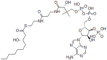CAS 登录号：79171-49-6， 3-羟基癸酰-辅酶A