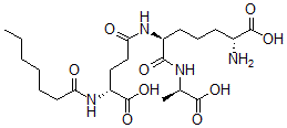 CAS 登录号：79335-75-4， (2R,6S)-2-氨基-6-[[(4R)-4-(庚酰氨基)-5-羟基-5-氧代戊酰]氨基]-7-[[(2R)-1-羟基-1-氧代丙烷-2-基]氨基]-7-氧代庚酸