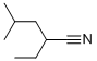 CAS#: 79509-80-1, 2-Ethyl-4-Methylpentanenitrile