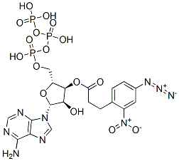 CAS 登录号：80220-04-8， 3'-O-(3-(2-硝基-4-叠氮基苯基)丙酰基)腺苷三磷酸酯
