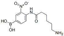 CAS 登录号：80500-29-4， 3-硝基-4-(6-氨基己基氨基)苯硼酸