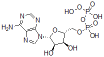 CAS#: 80589-10-2, Adenylyl 5'-Peroxydiphosphate